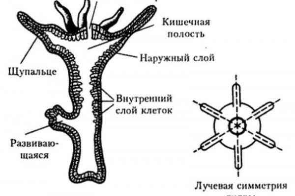 Kra27.gl