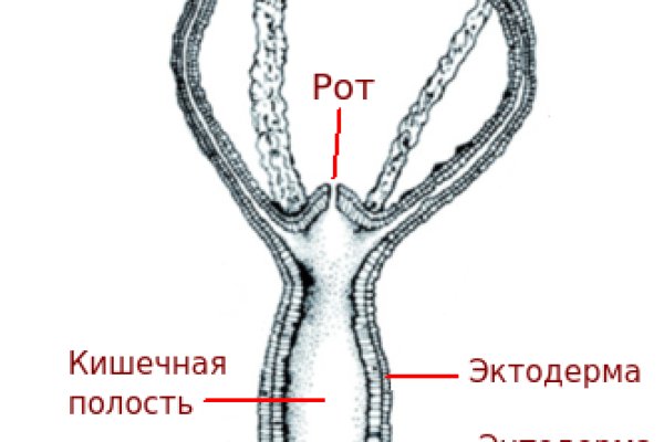 Кракен официальный