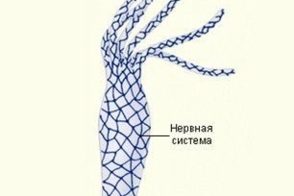Кракен адрес