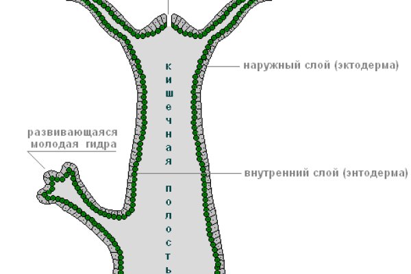 Кракен гидра даркнет